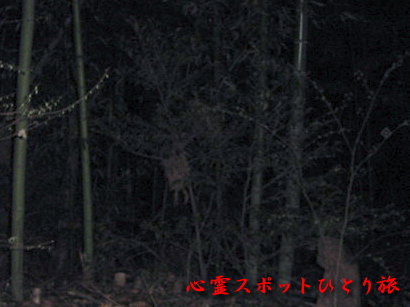 心霊スポット:白幡神社