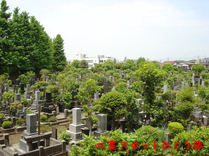 心霊スポット:八柱霊園