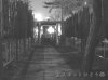SX|bgFtׁFM