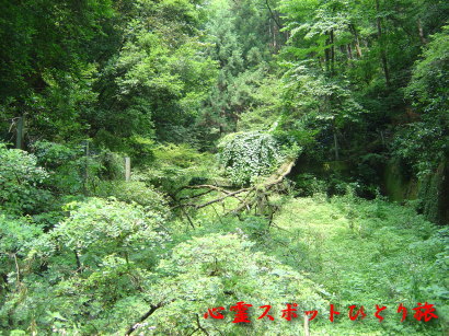 心霊スポット:旧天神山隧道