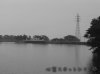 SX|bgF^ǒr