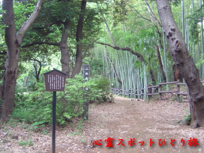 心霊スポット:小机城址市民の森