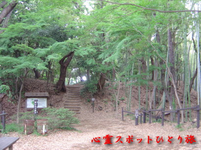 心霊スポット:小机城址市民の森
