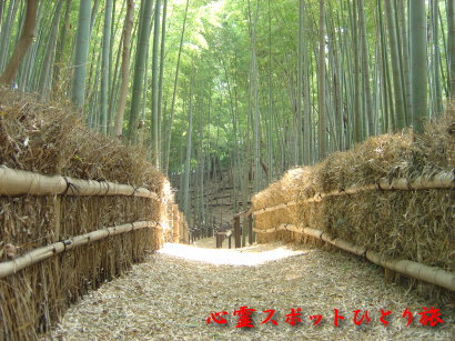 心霊スポット:小机城址市民の森
