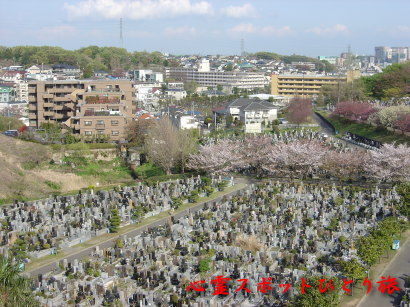 心霊スポット:緑ヶ丘霊園