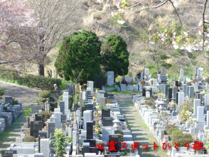 心霊スポット:緑ヶ丘霊園