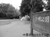 SX|bgF_