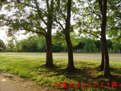 心霊スポット:秋ヶ瀬公園