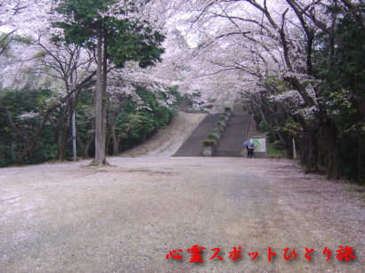 心霊スポット:世界無名戦士之墓