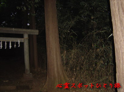 心霊スポット:桜木神社