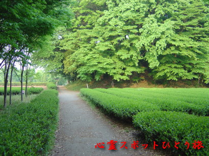 心霊スポット:白旗塚