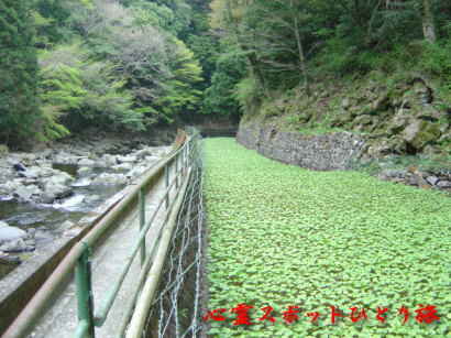 心霊スポット:浄蓮の滝