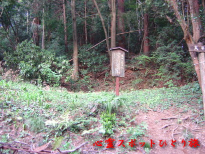 心霊スポット:大中寺:東山一口拍子木