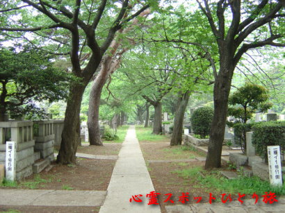 心霊スポット:青山霊園