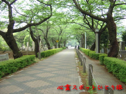 心霊スポット:青山霊園