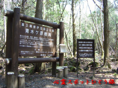心霊スポット:青木ヶ原樹海