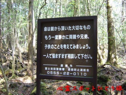 心霊スポット:青木ヶ原樹海