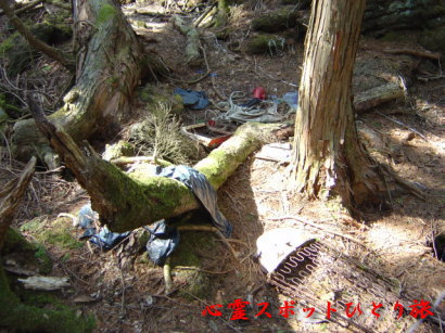 心霊スポット:青木ヶ原樹海